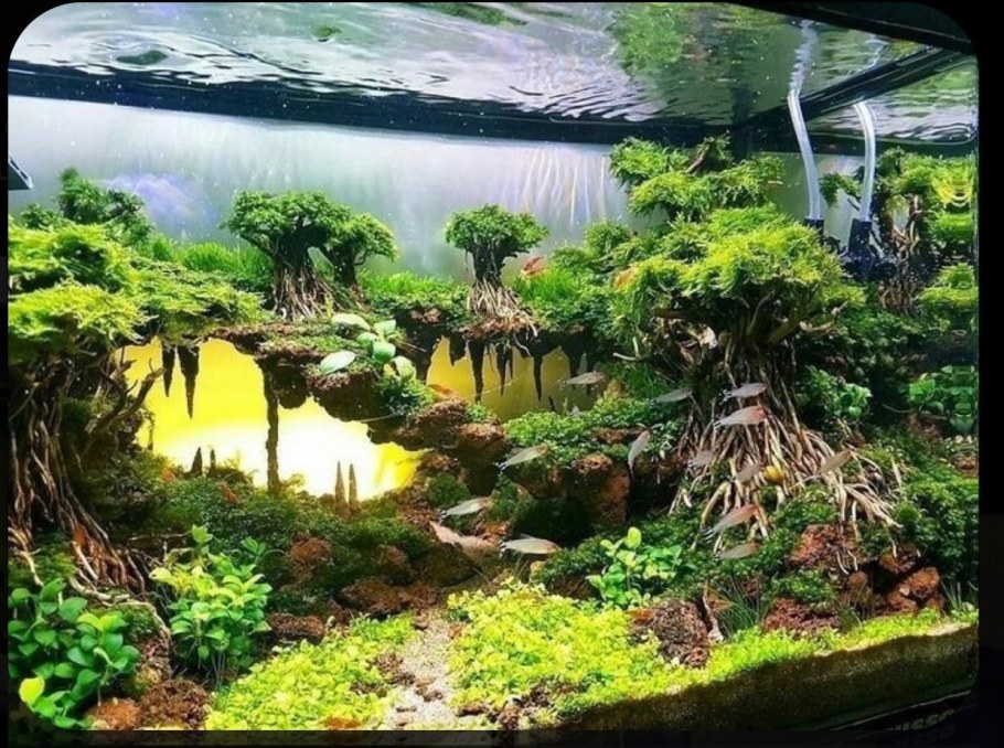 Акваскейп в аквариуме