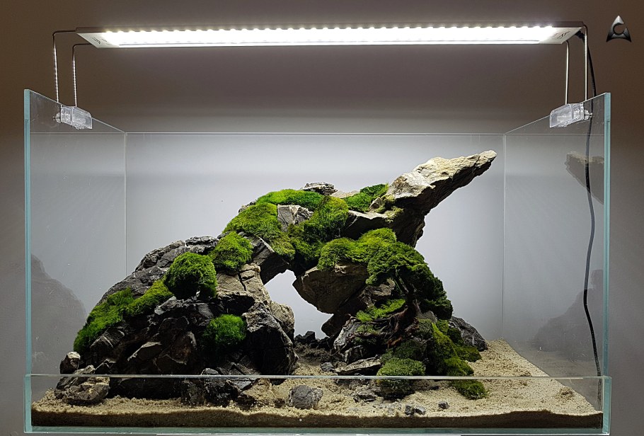 Акваскейп Логово химер