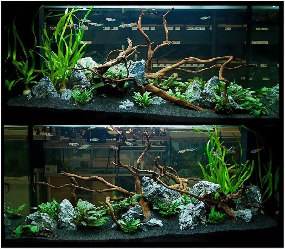 Акваскейп цихлидник