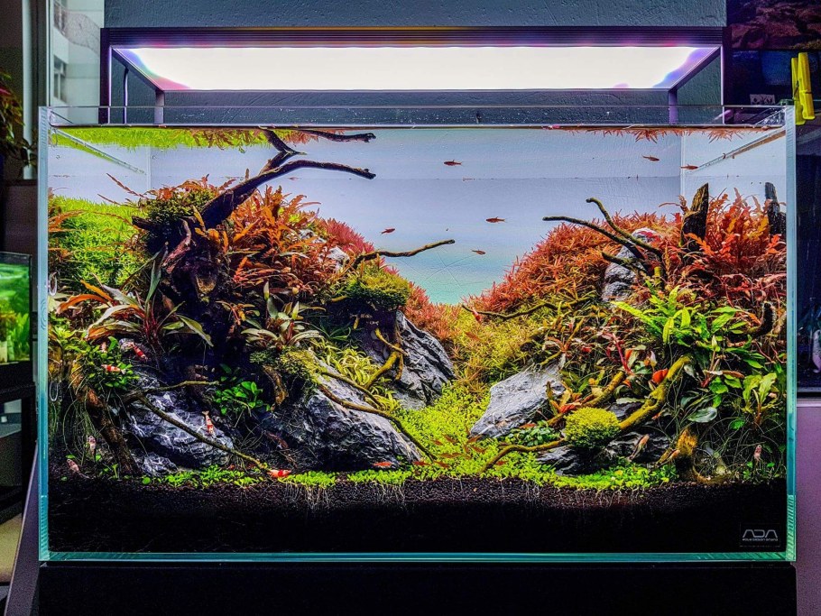 Травник аквариум акваскейп