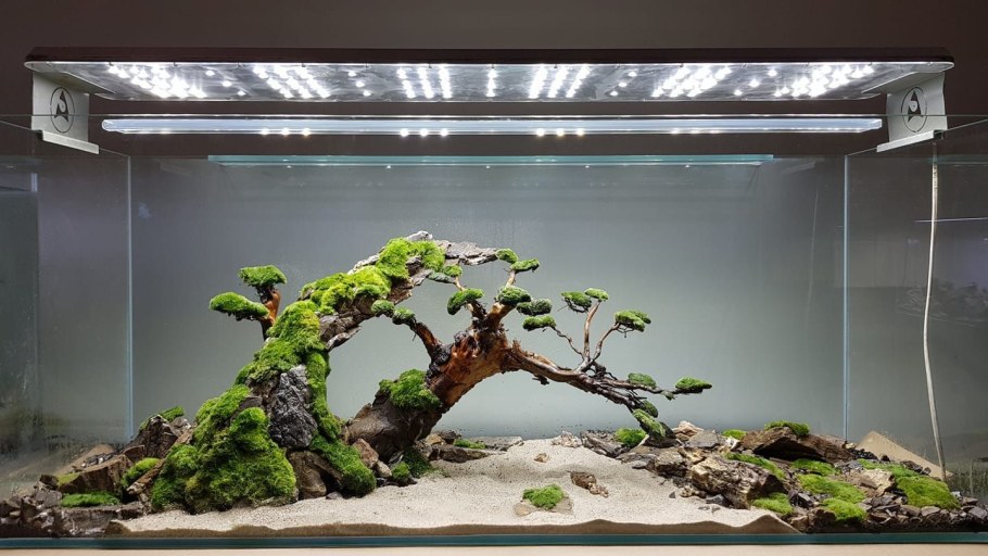 Акваскейп 80л