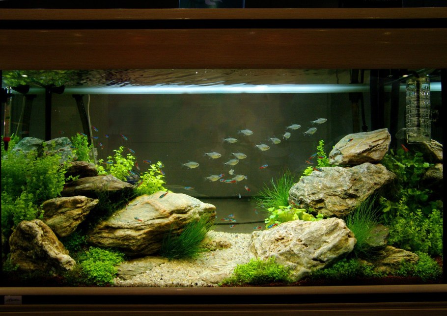 Акваскейп 100л