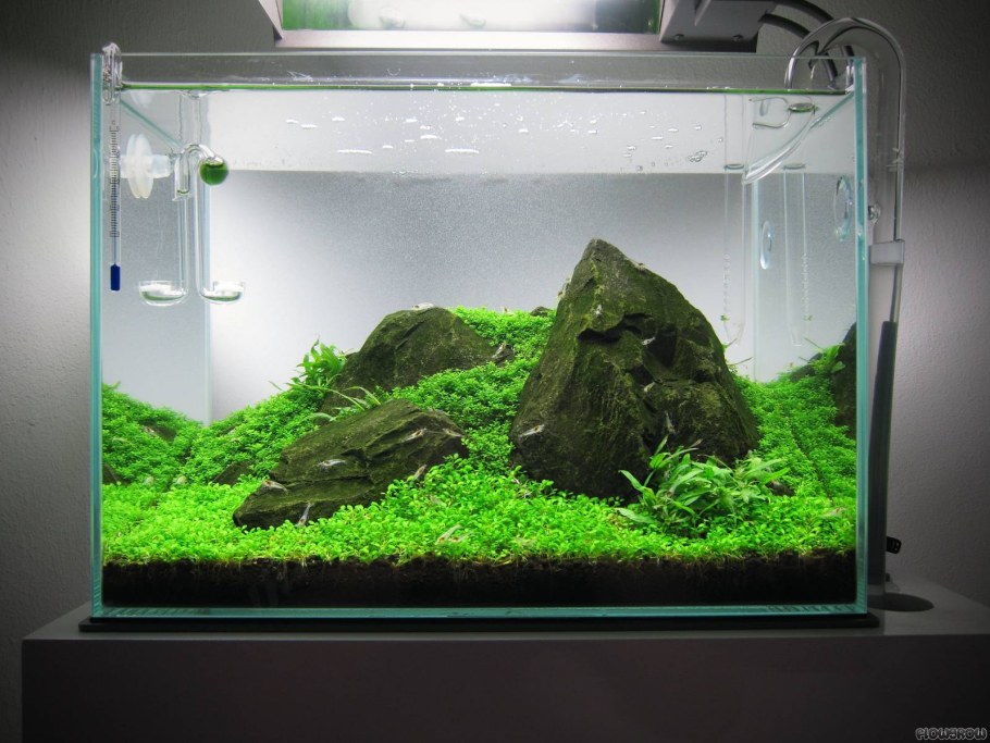 Акваскейп 30л