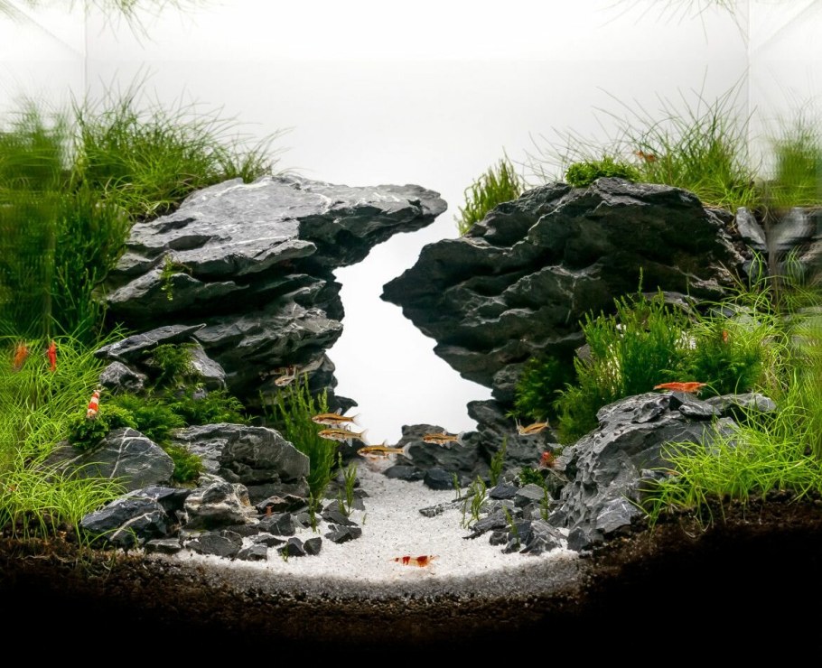 Акваскейп диабаз