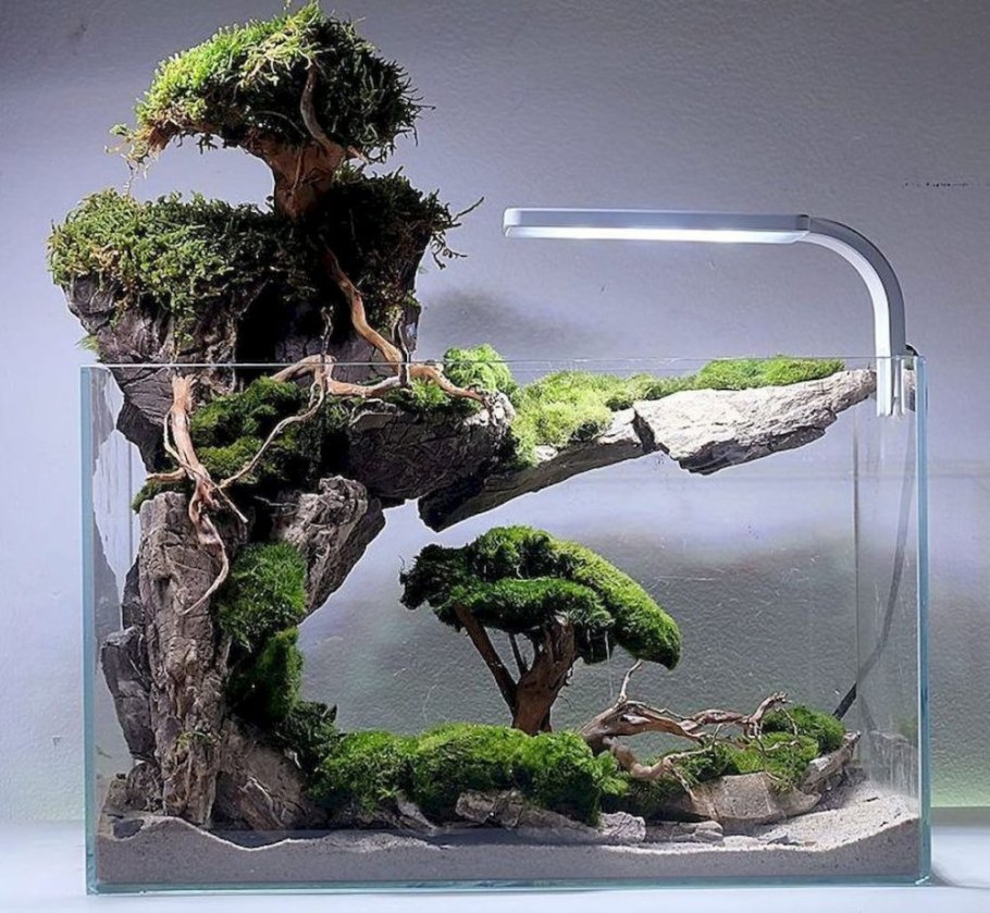 Нано акваскейп