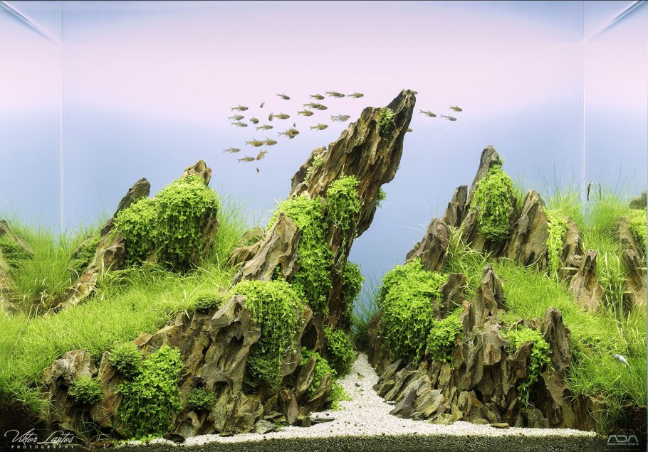 Акваскейп остров