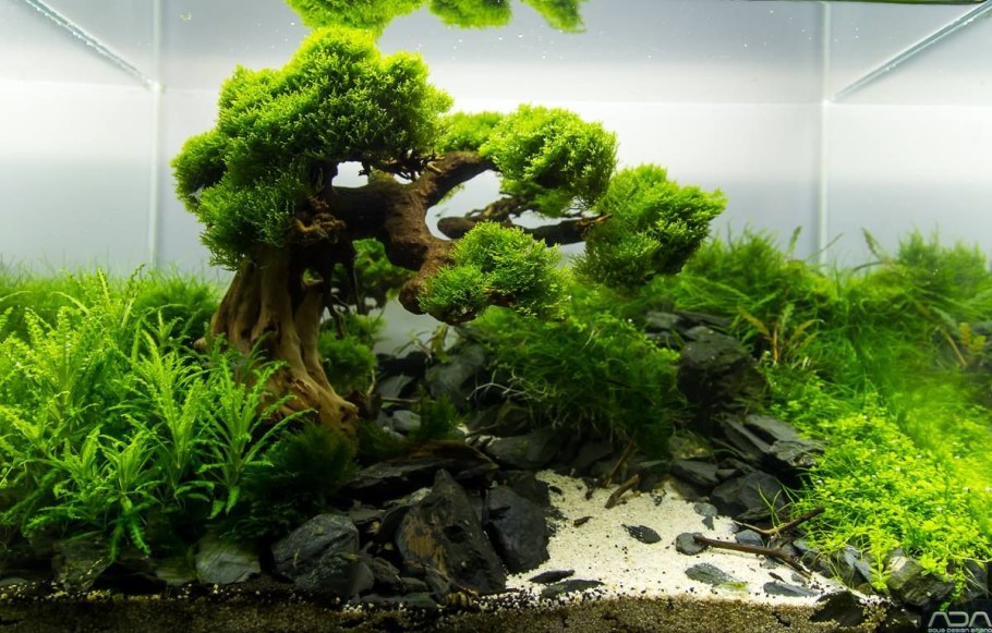 Нано акваскейп