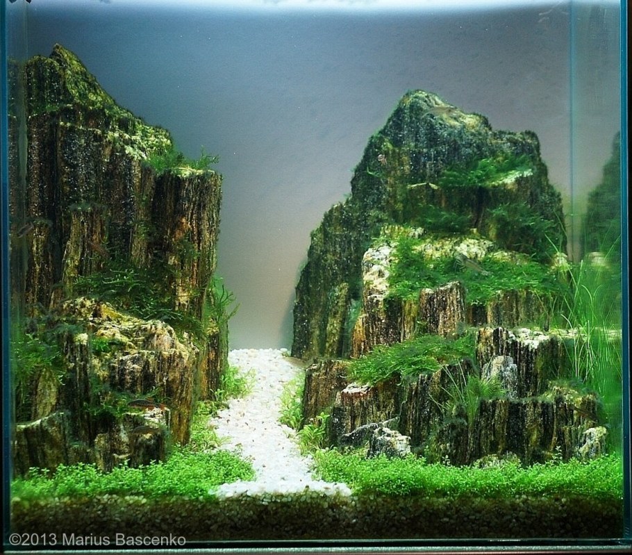 Акваскейп Амано