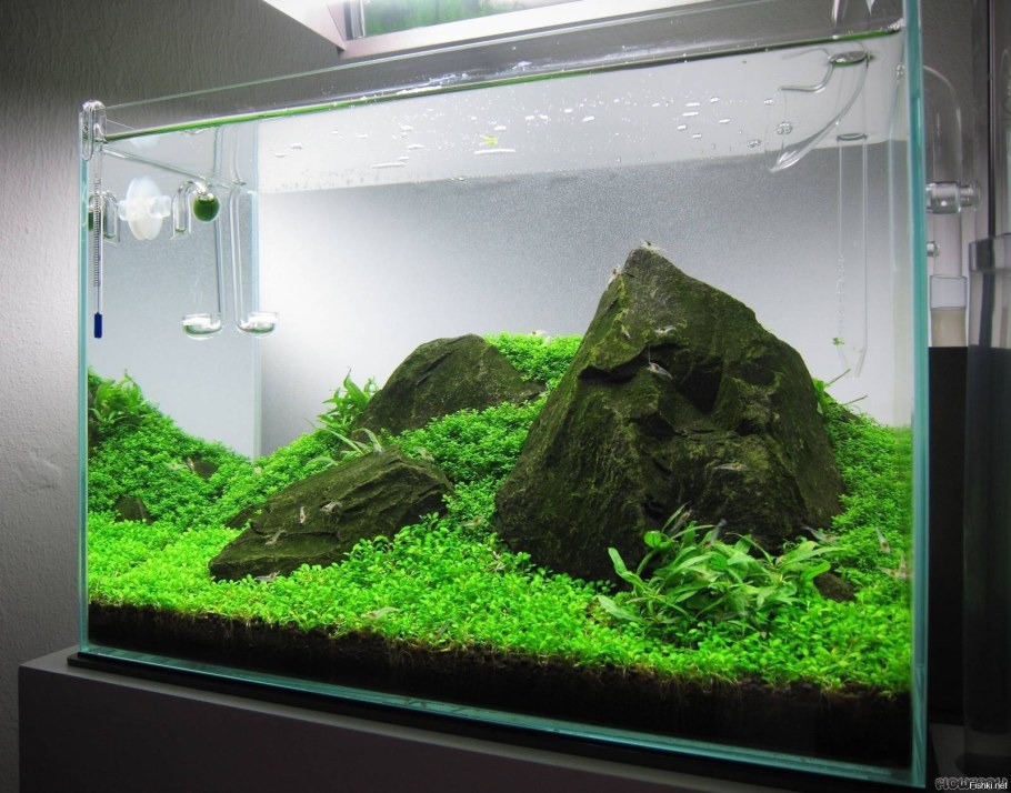 Акваскейп Ивагуми