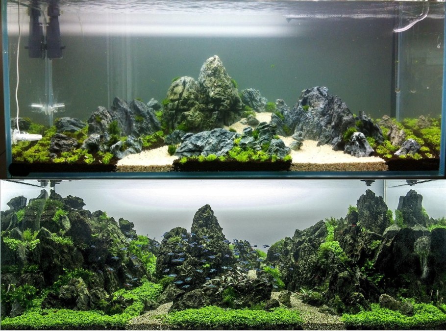 Акваскейпинг японский Такаши Амано