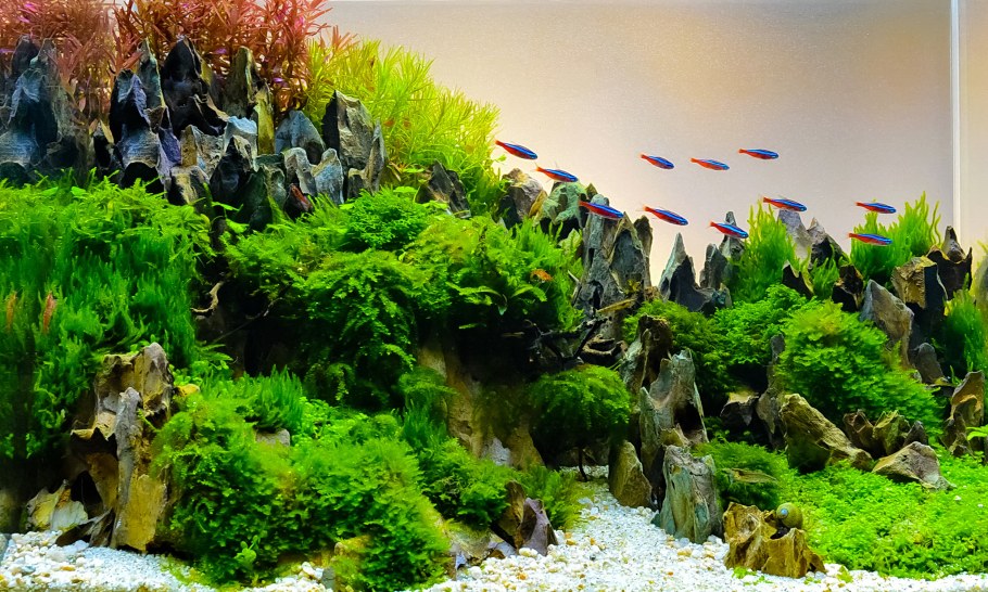 Акваскейп горы