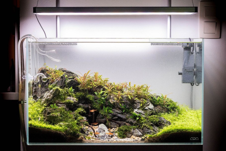 Марсилия акваскейп