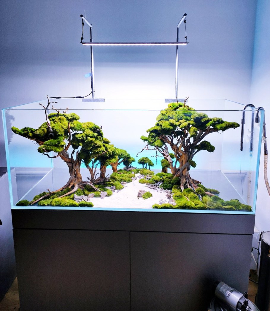 Акваскейпинг 60 литров