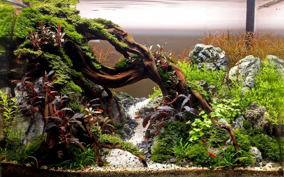 Акваскейп 30л