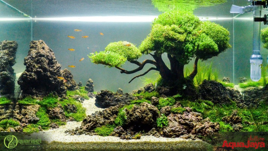 Акваскейп 150 литров