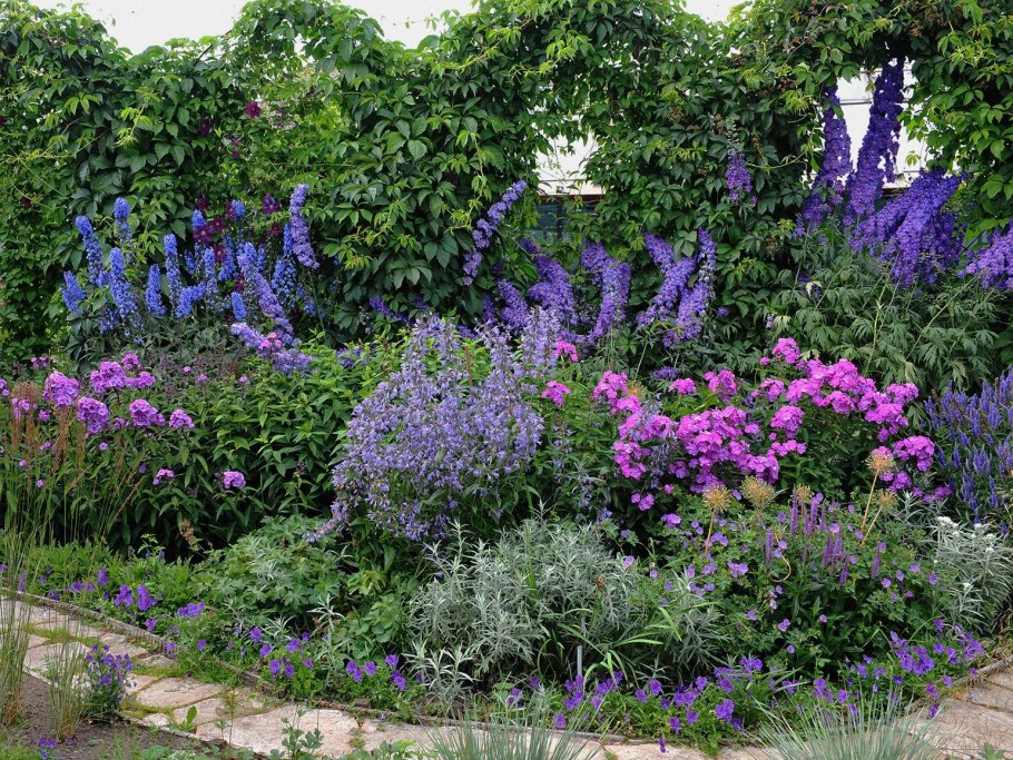 Ландшафт фото