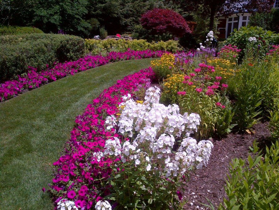 Клумба с флоксами