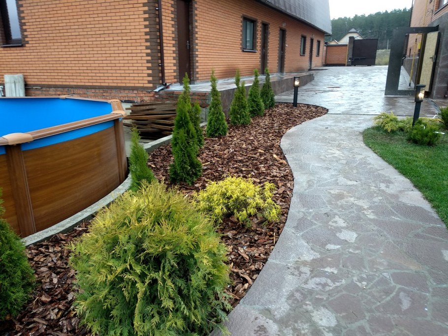 Озеленение двора