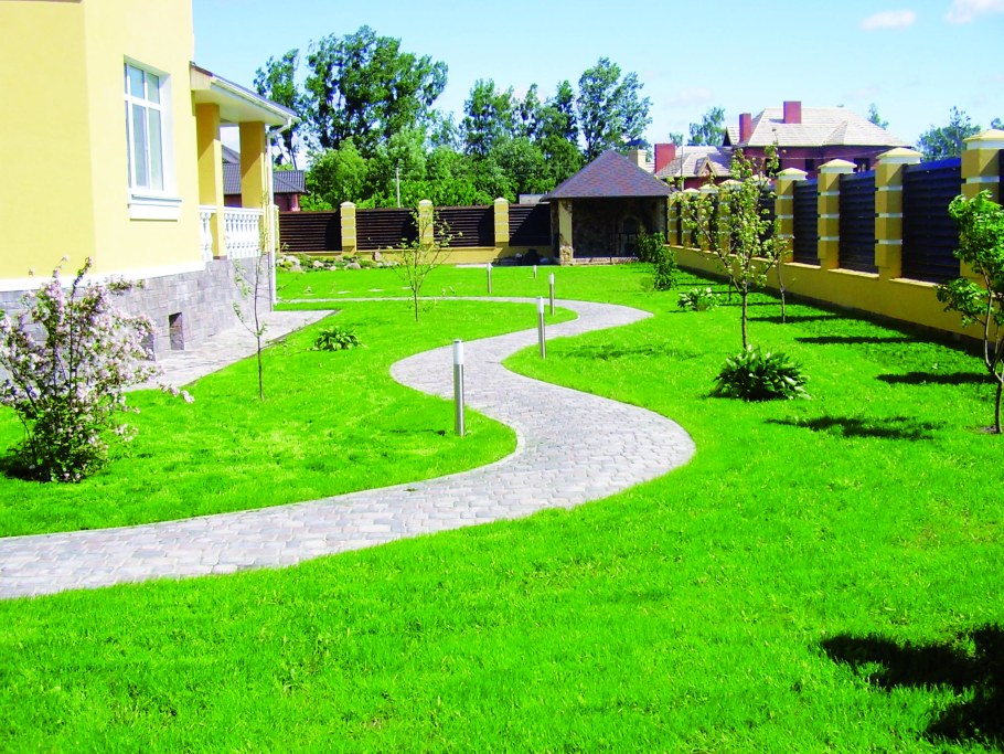 Газонные дорожки на участке