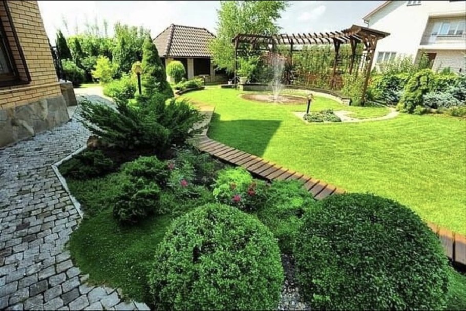 Озеленение дачного участка