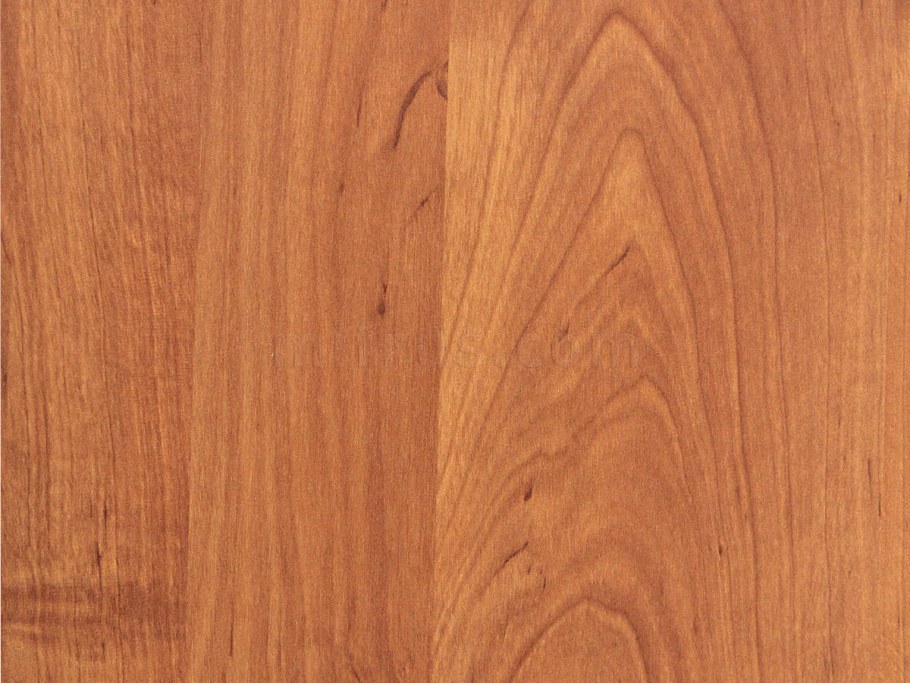 Ольха натуральная u1548