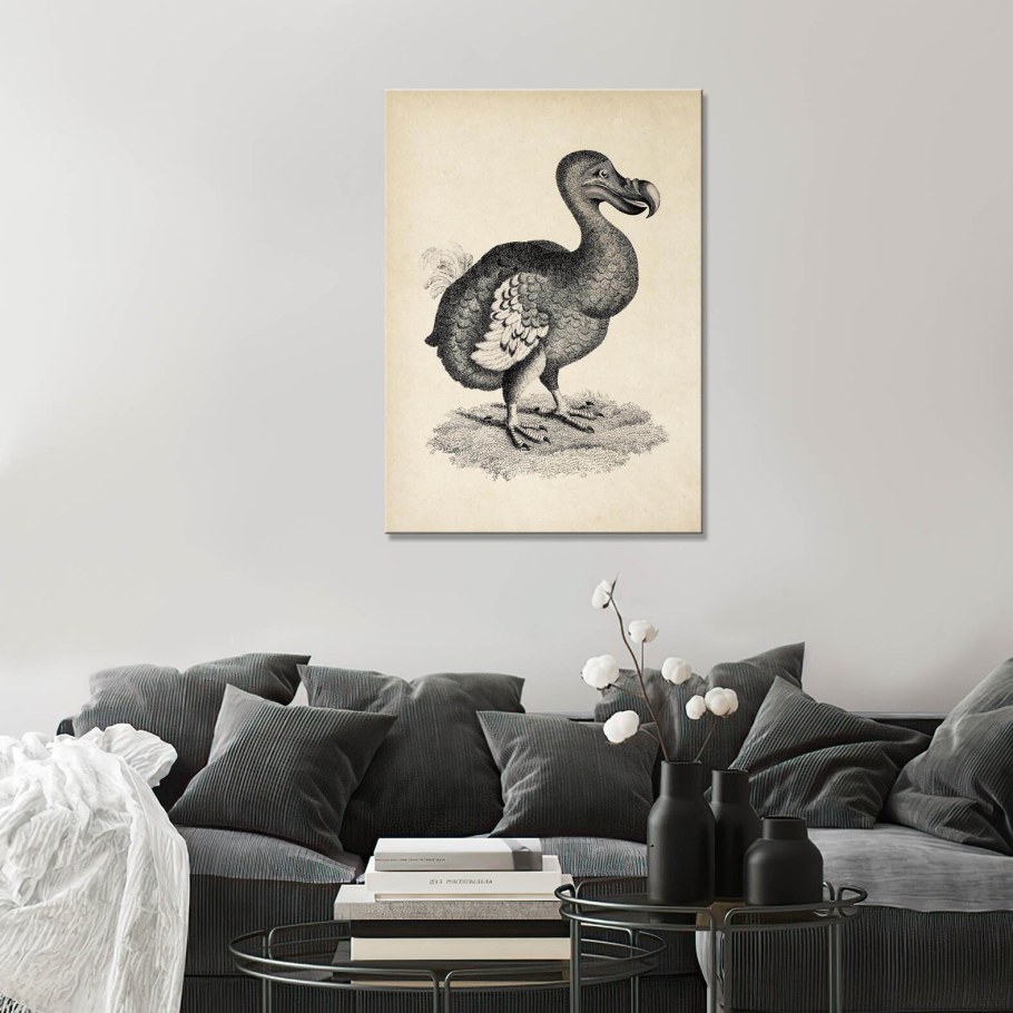 Ч/Б изображения для интерьера птицы