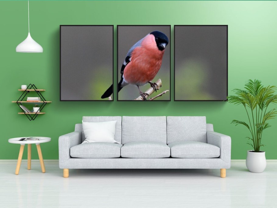 Постеры с птицами для интерьера