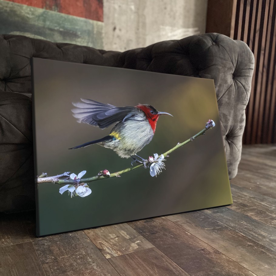 Картины с птицами в интерьере