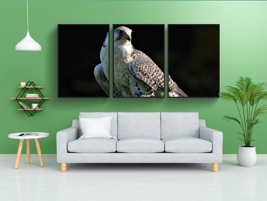 Постеры с птицами для интерьера