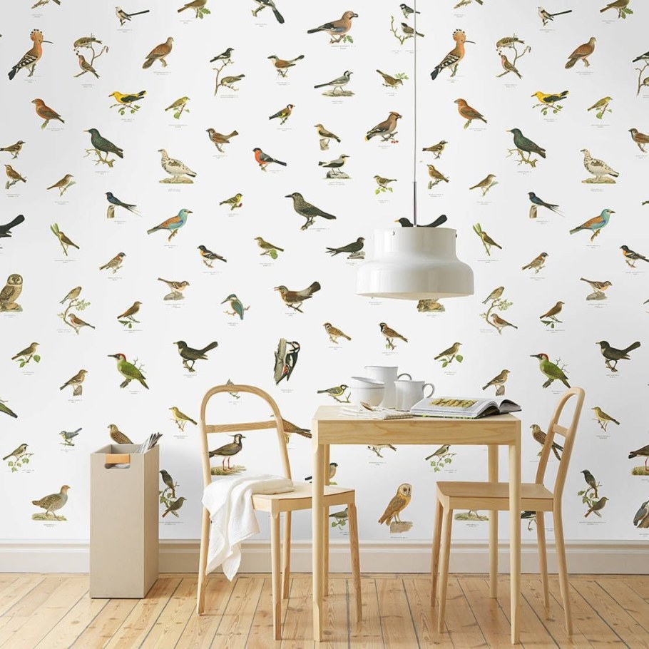 Обои с птичками для стен в интерьере