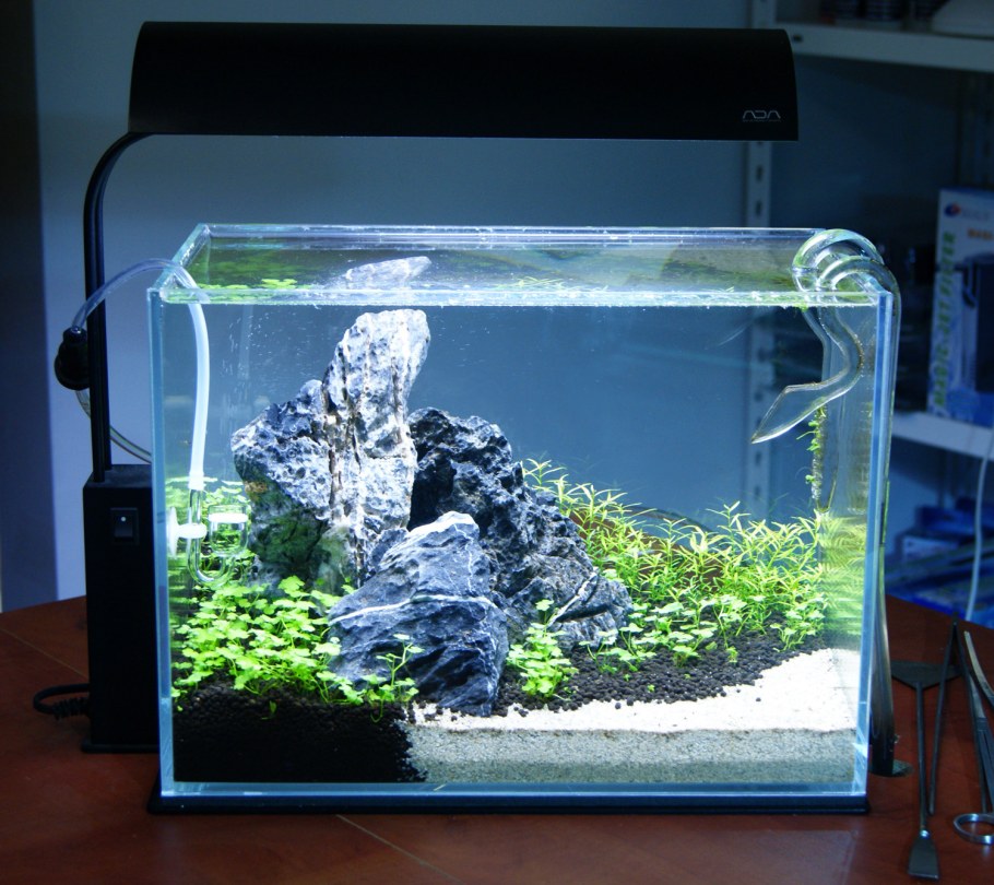 Нано акваскейп