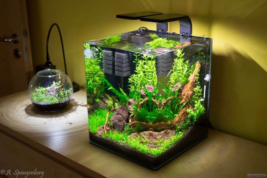 Аквариум куб акваскейп