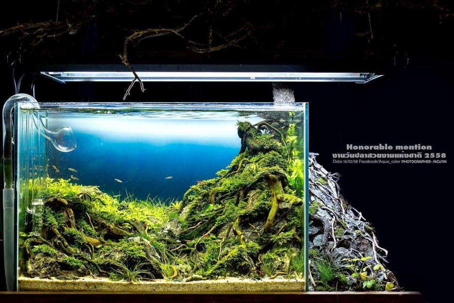 Акваскейпинг нано аквариумов