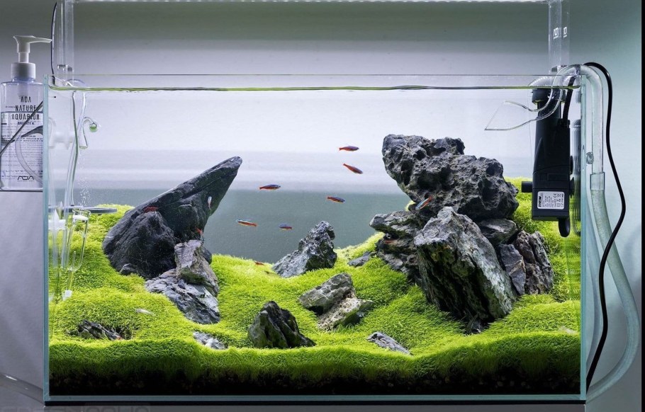 Аквариум ada 60p