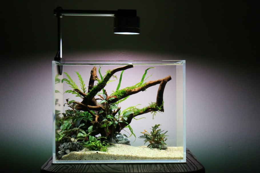 Голландский акваскейп