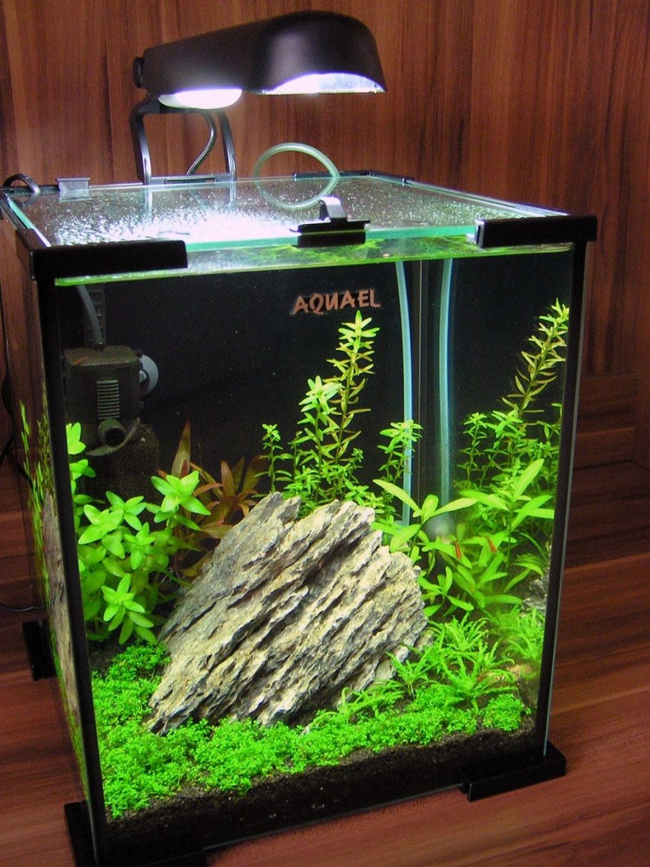 Аквариум нано куб 20 литров