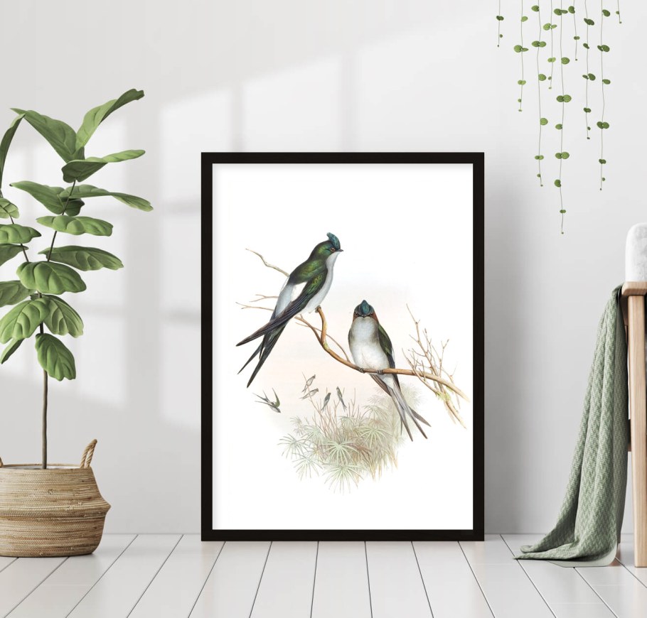 Постеры с птичками для интерьера