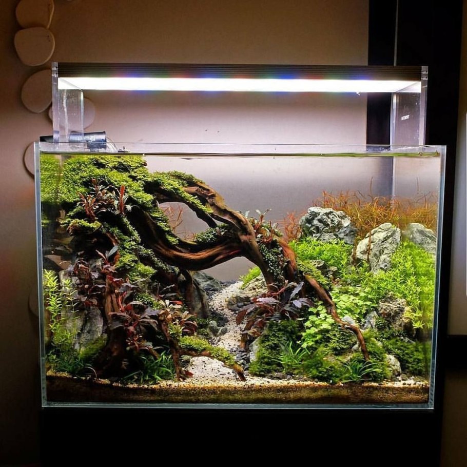 Акваскейп 180 литров