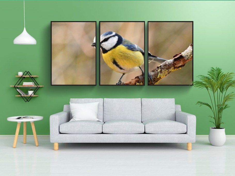 Постеры с птицами для интерьера