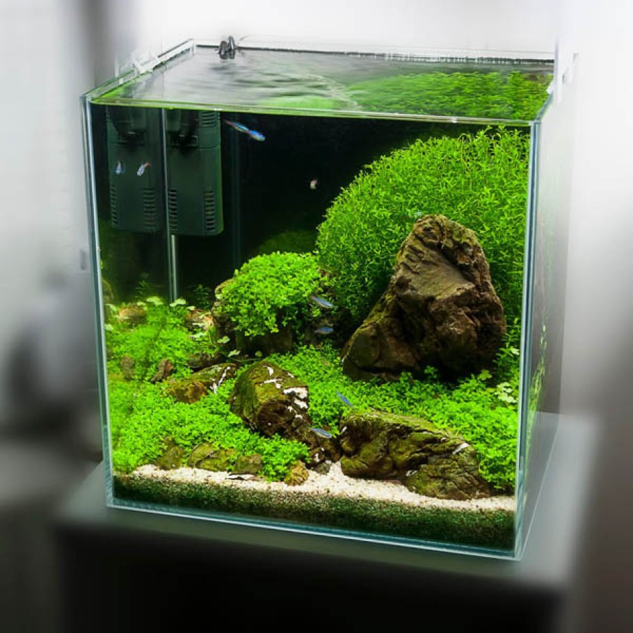 Аквариум ювель 120 литров акваскейп