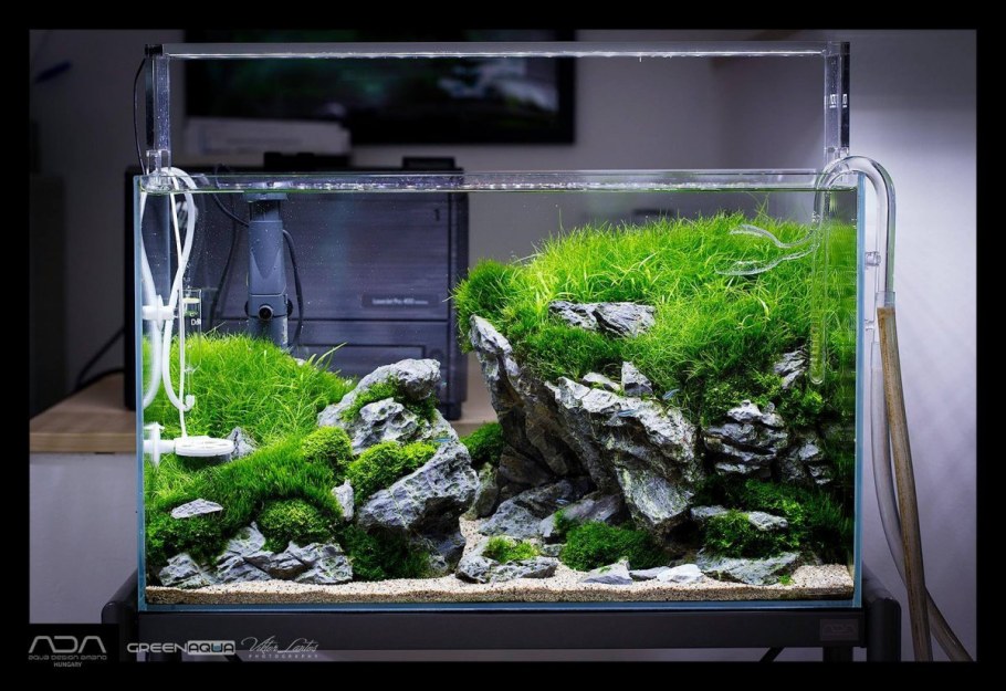 Нано хардскейп