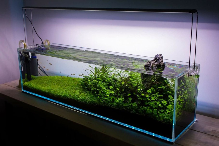 Акваскейп 150 литров