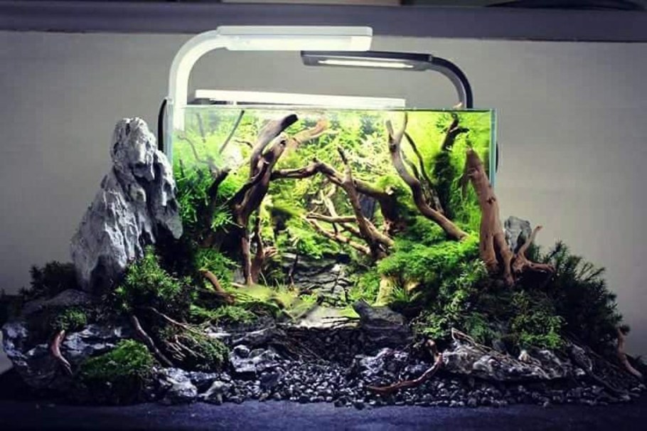 Акваскейп 80 литров