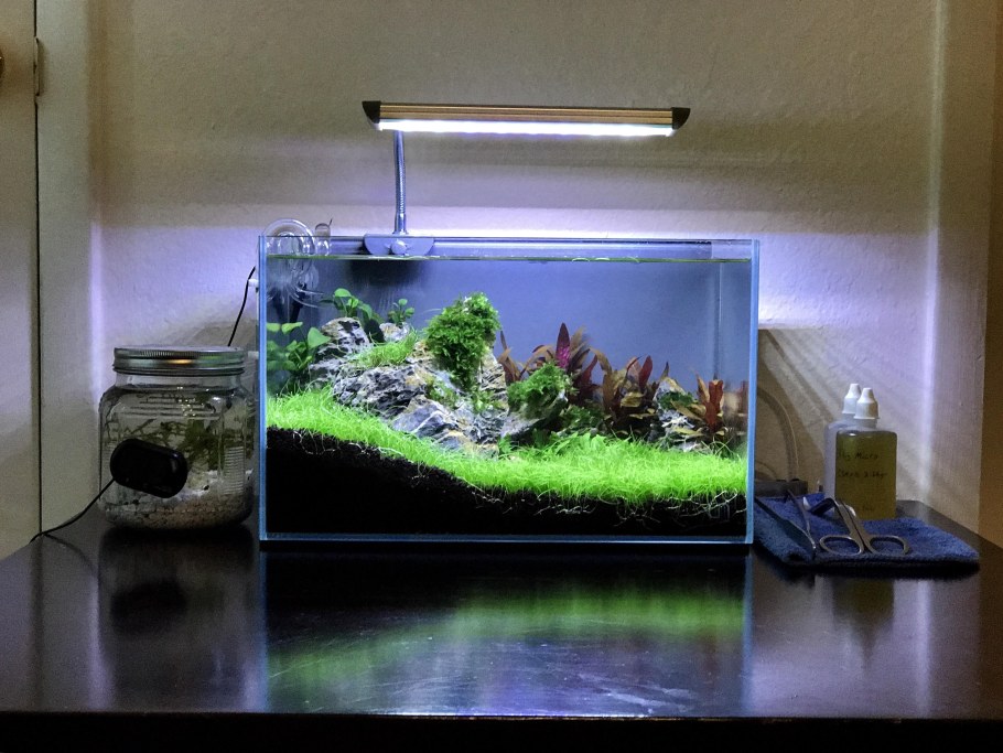 Нано аквариум в интерьере