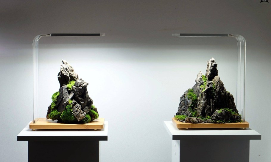 Хардскейп Ивагуми