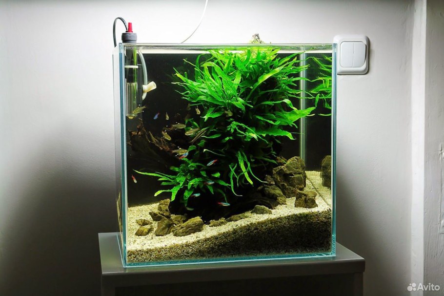 Акваскейпинг нано куб 30