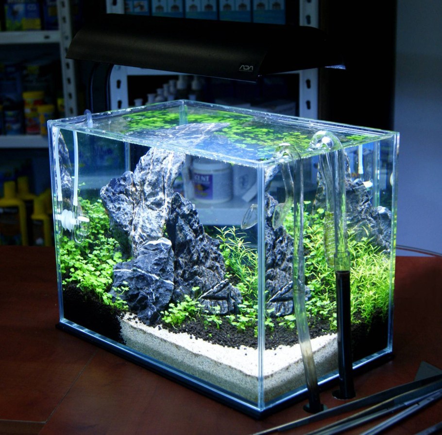 Нано акваскейп