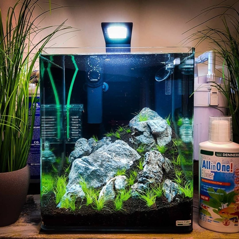 Dennerle Nano Cube на 60 литров