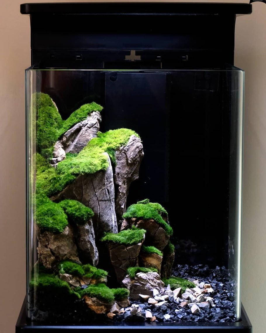 Акваскейпинг нано аквариумов