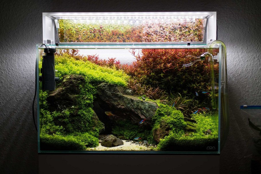 Акваскейп горы